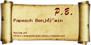 Papesch Benjámin névjegykártya